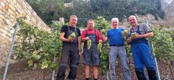 Weinlese 2023 013