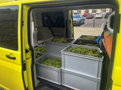Weinlese 2023 014