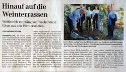 Weinterrassen 002